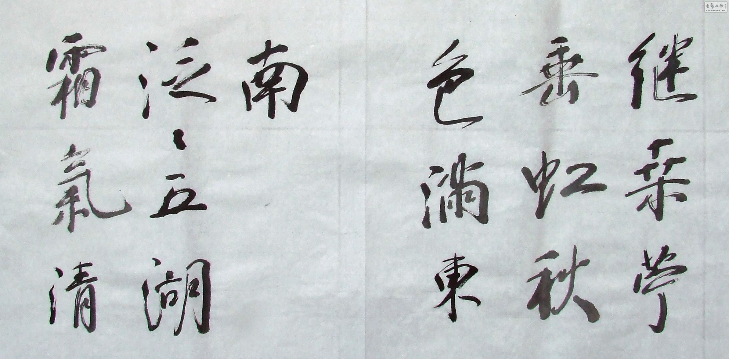 DSCF1558.JPG