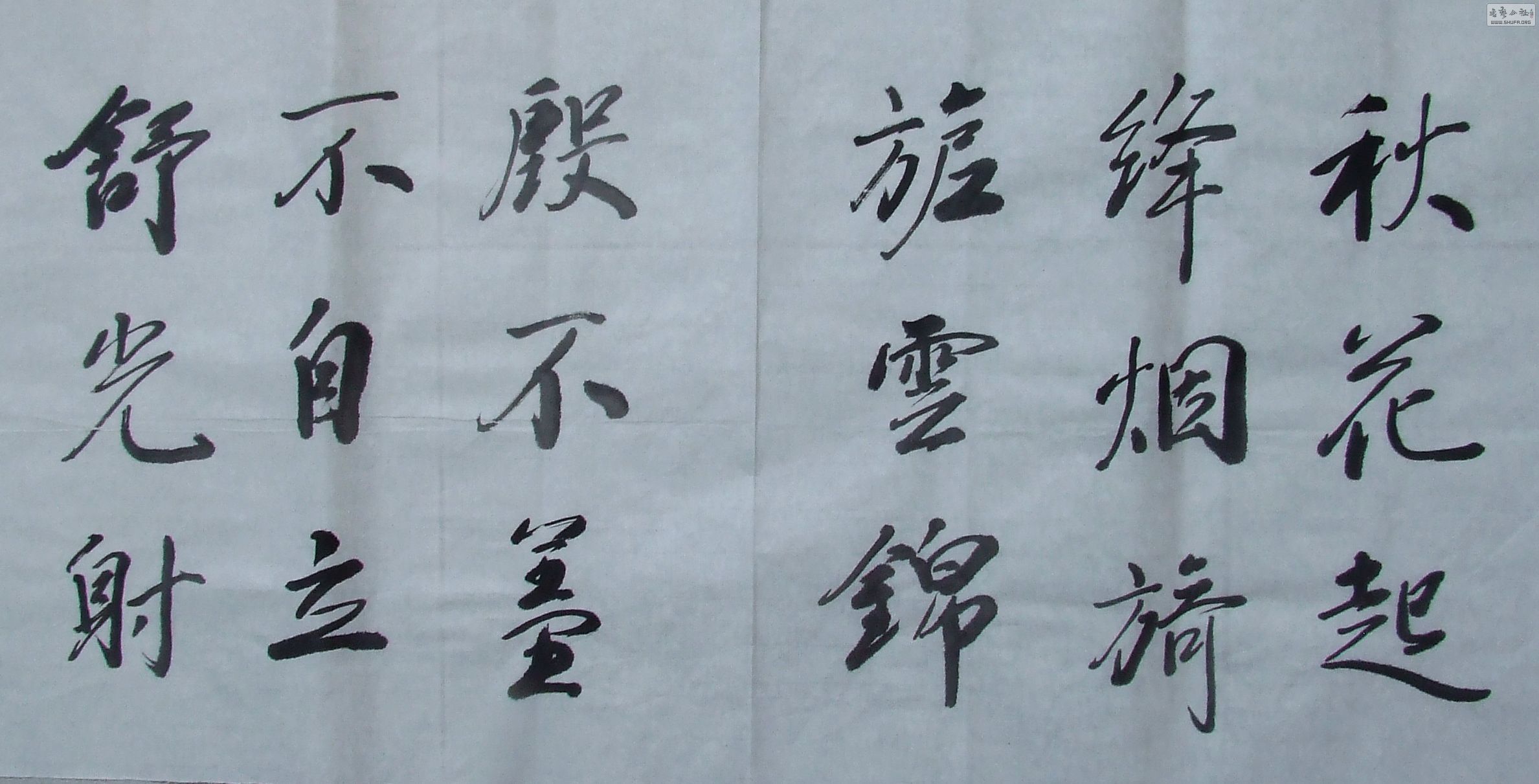 DSCF1549.JPG