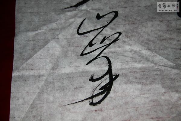 nEO_IMG_IMG_2300.jpg
