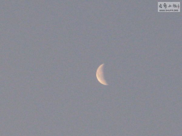 IMG_4650.jpg