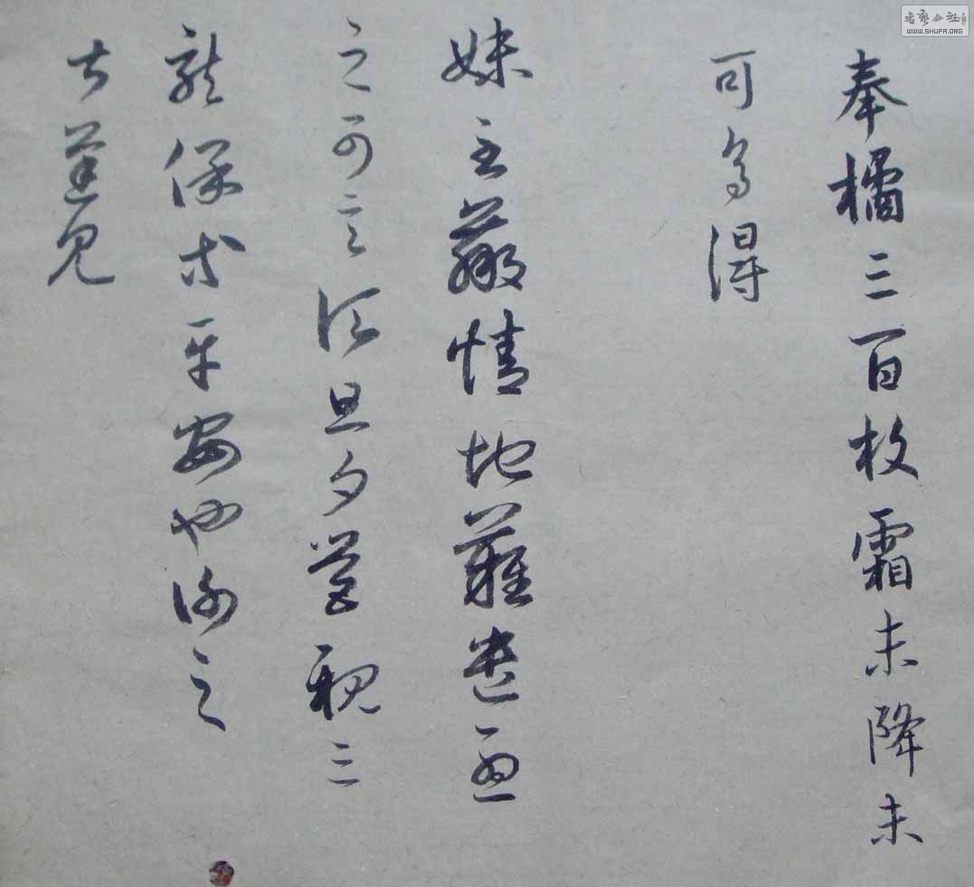 DSC02818.JPG