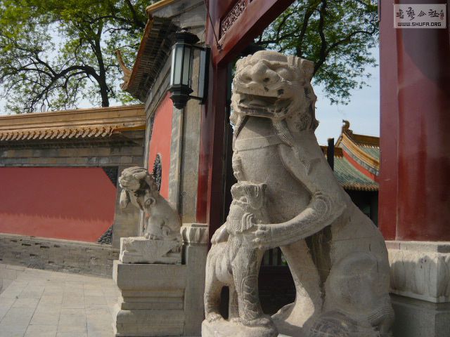 P1170913.JPG