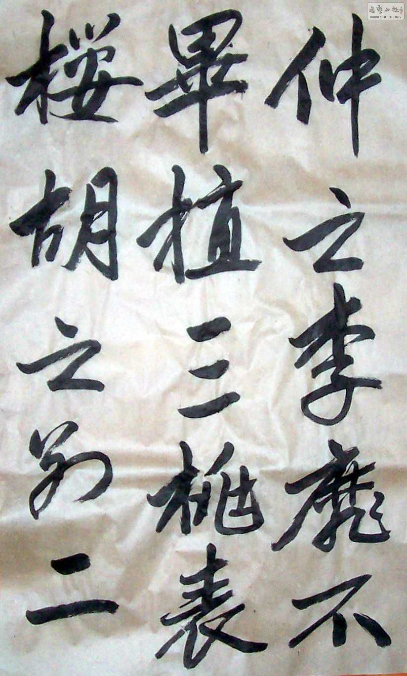 Ƭ2 1169.jpg