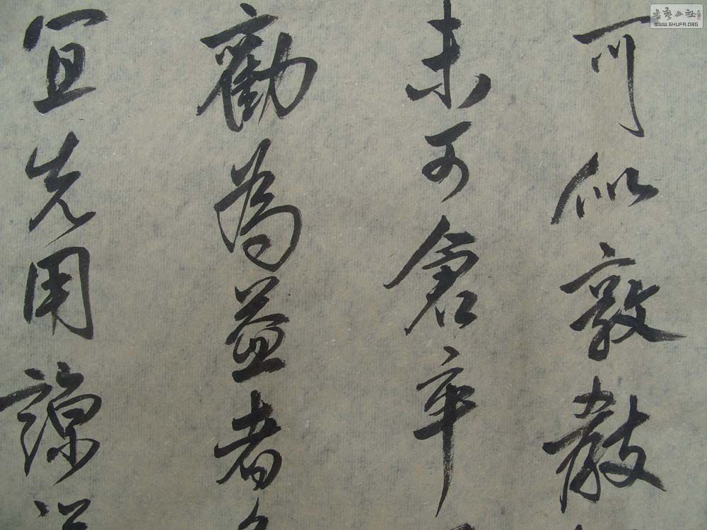 S1054573.JPG