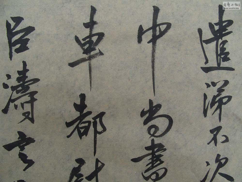 S1054569.JPG