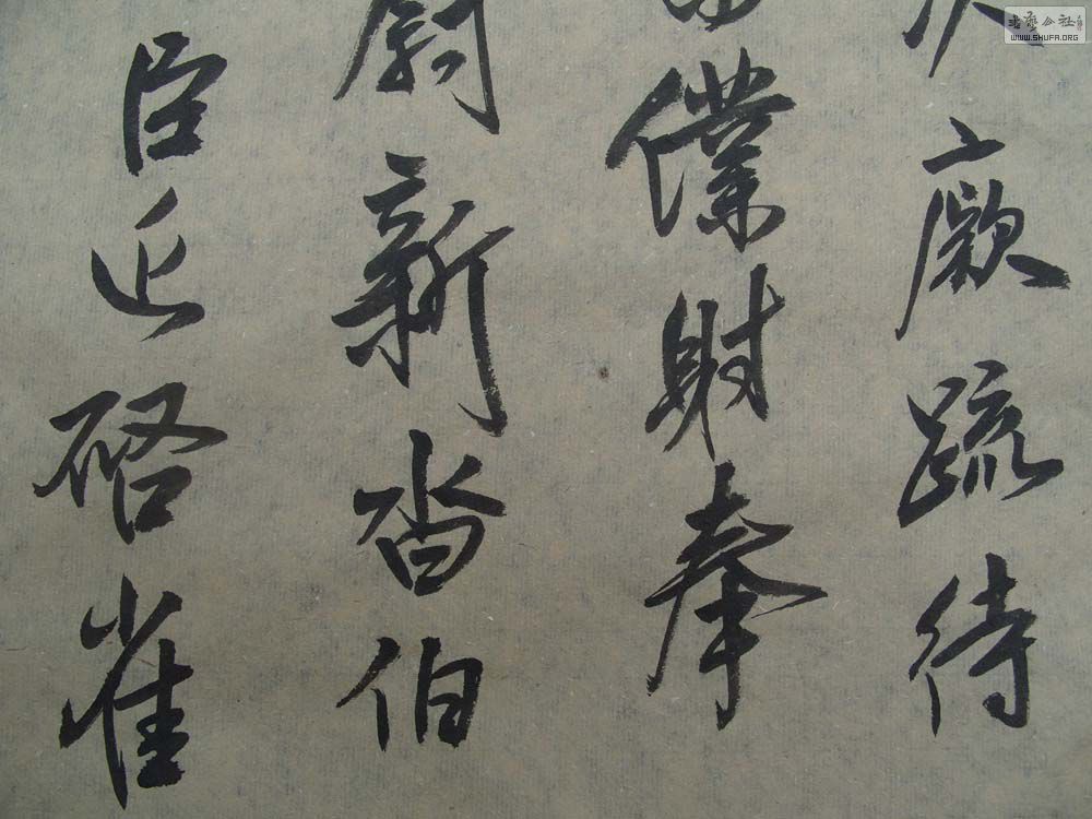 S1054570.JPG
