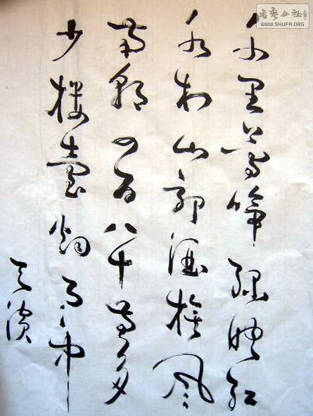 EPSN1485.jpg
