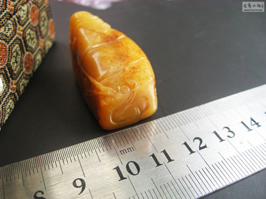 𻨻.JPG