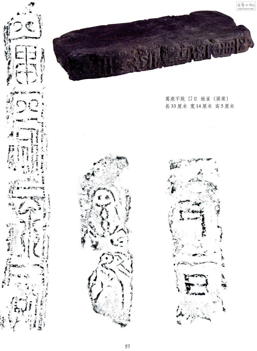 57.jpg