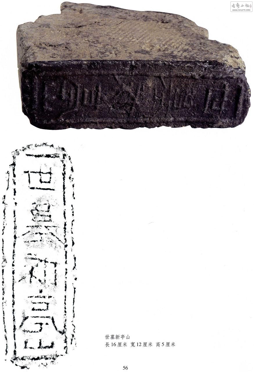 56.jpg