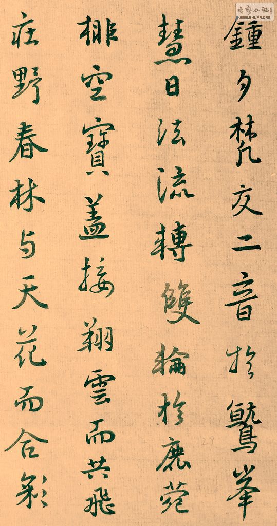 DSCF7841.JPG