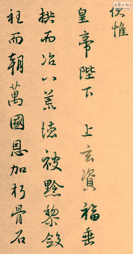 DSCF7842.JPG