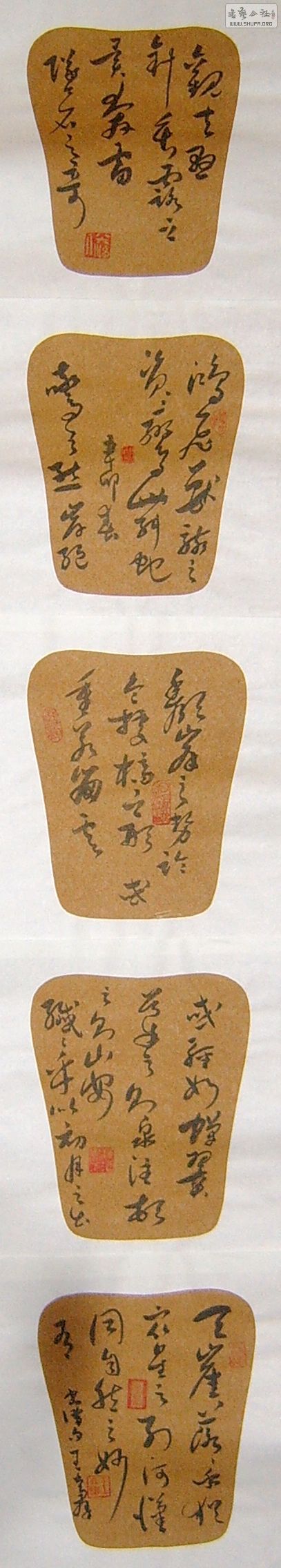 SUC50036.JPG