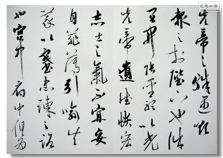 Ƭ 038.jpg