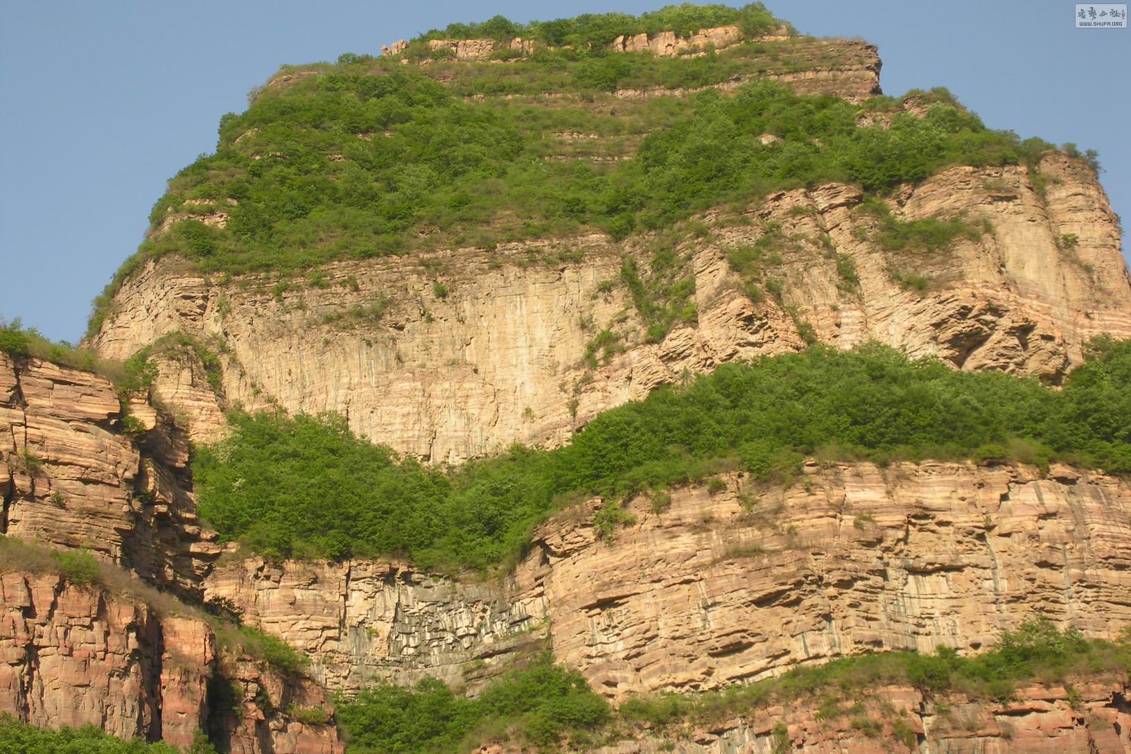 DSCN8204.JPG