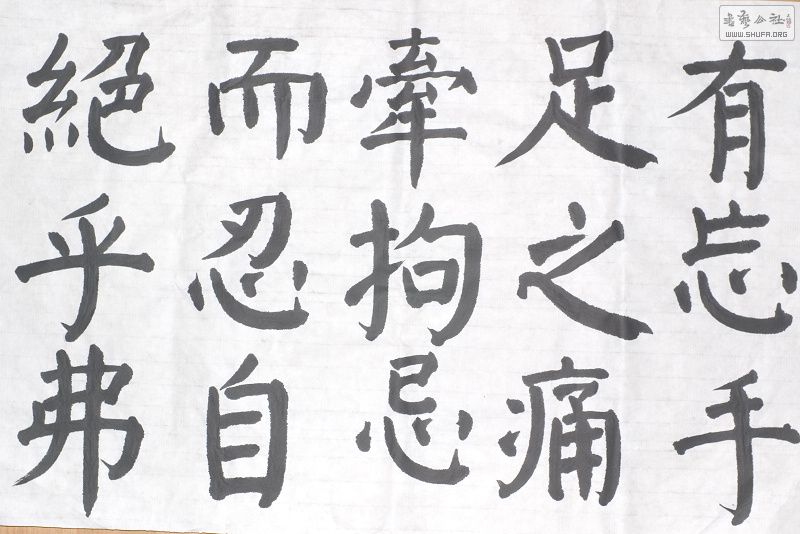 IMGP9961.jpg