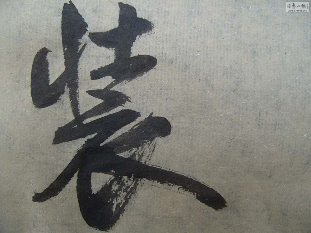 S1054597.JPG