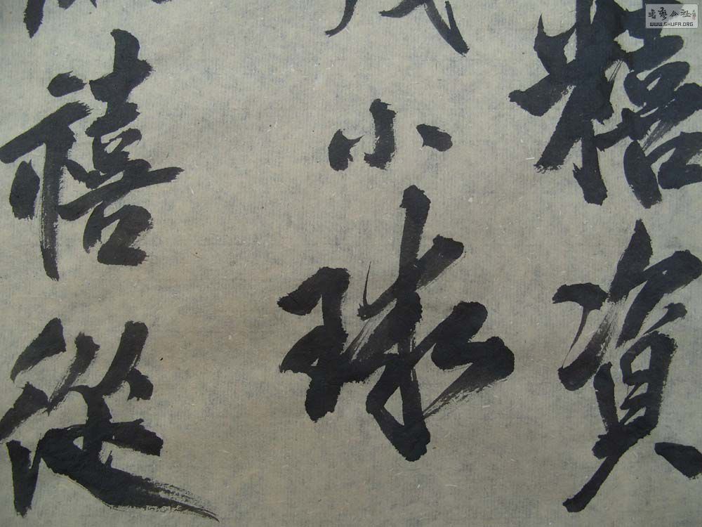 S1054592.JPG