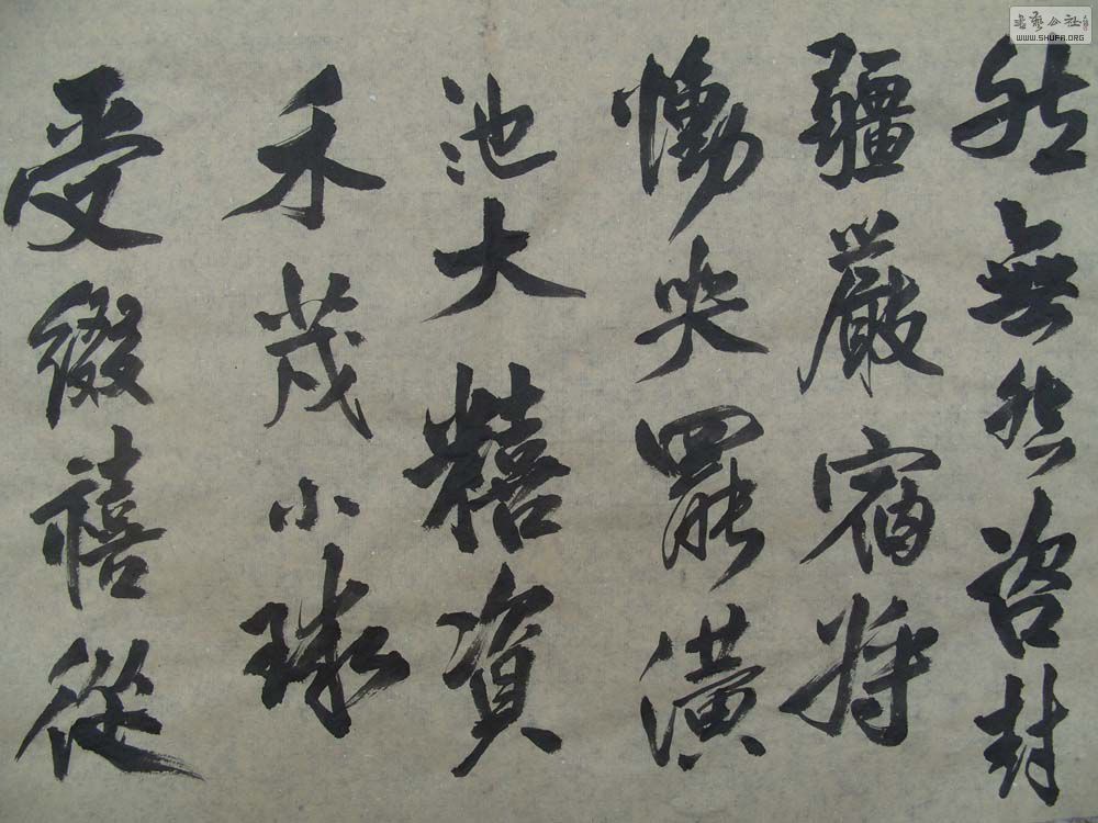 S1054587.JPG