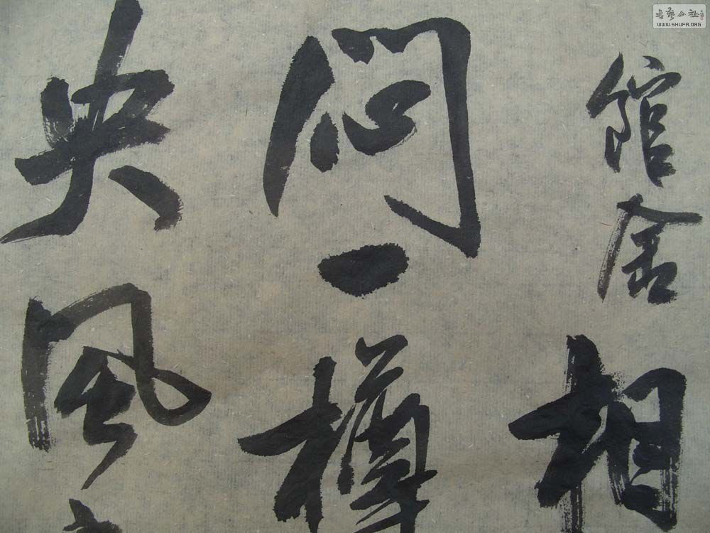 S1054595.JPG
