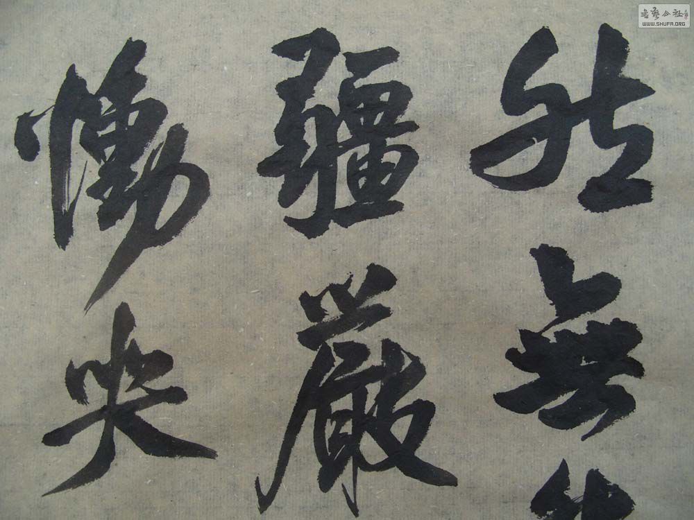 S1054589.JPG