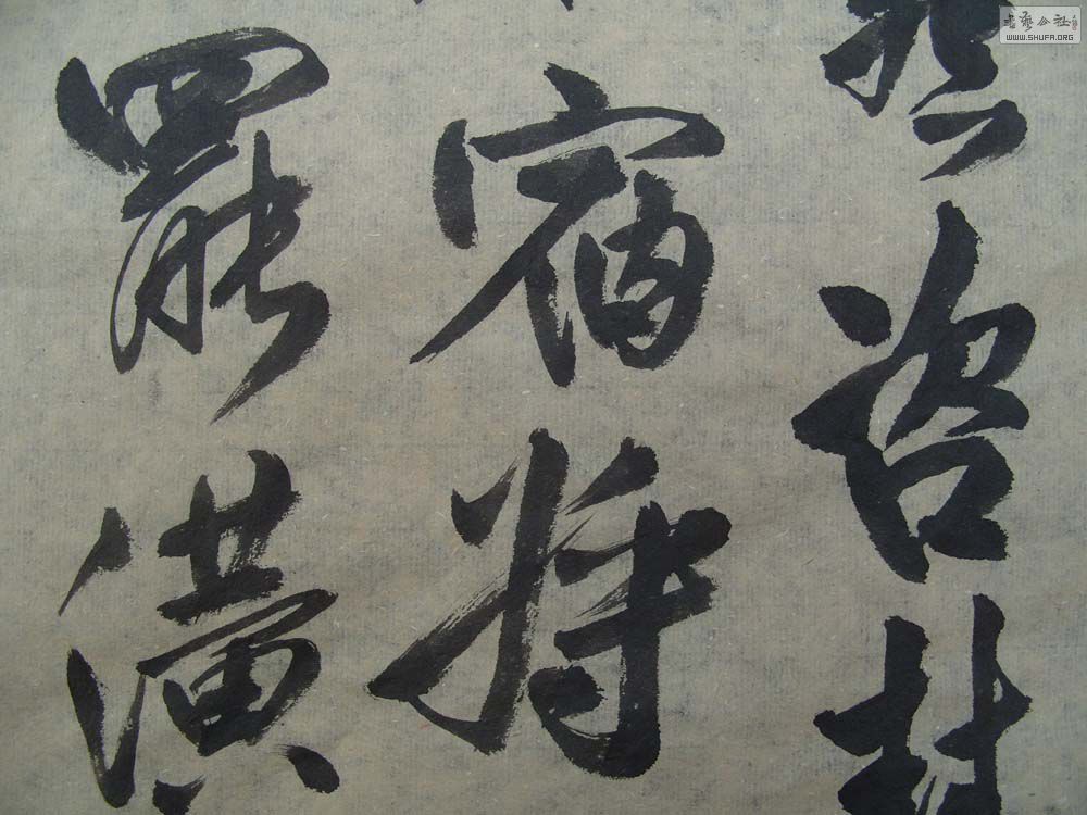 S1054590.JPG