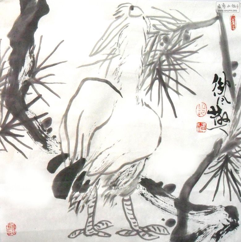 17ؾ70X70CM.jpg