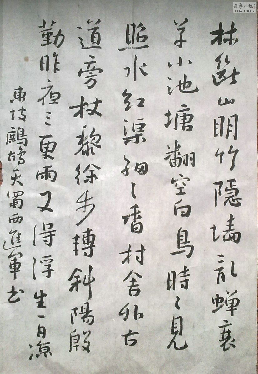 1312.jpg