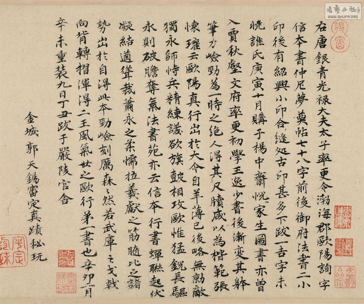 δ-2.jpg