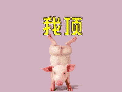 108881912364129.gif