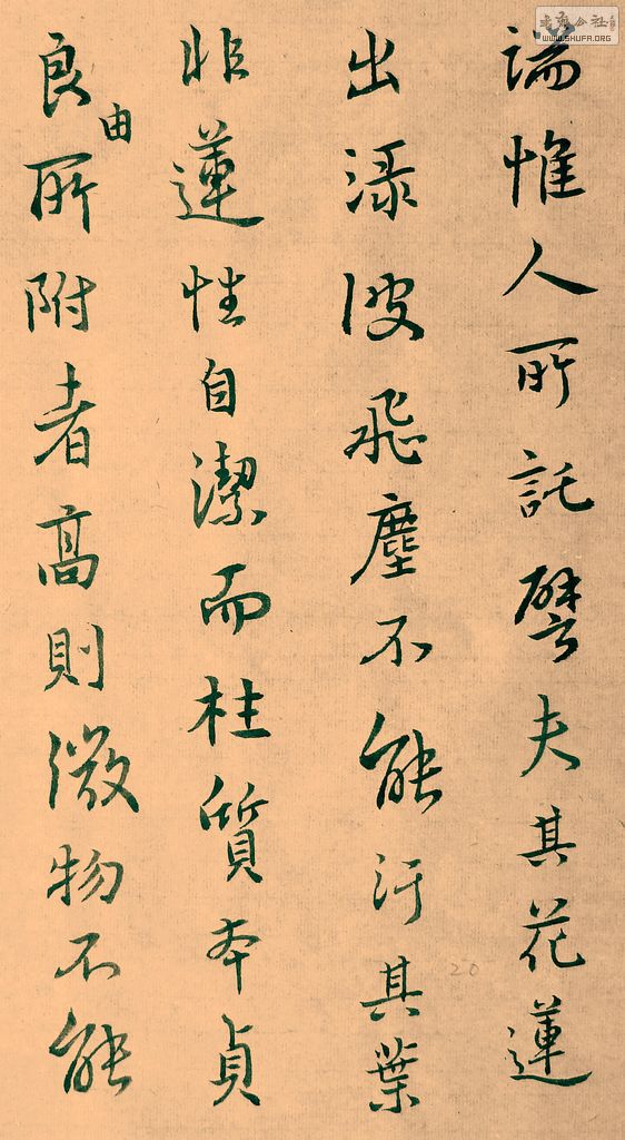 DSCF7831.JPG