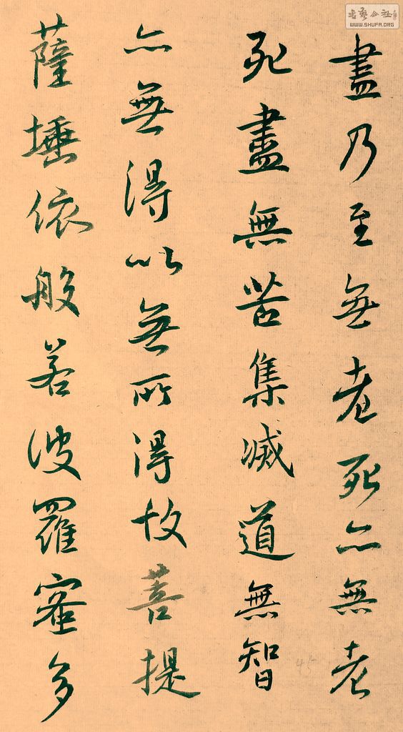 DSCF7902.JPG
