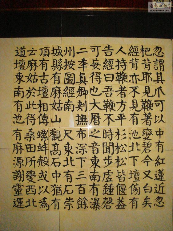 DSC05006.jpg