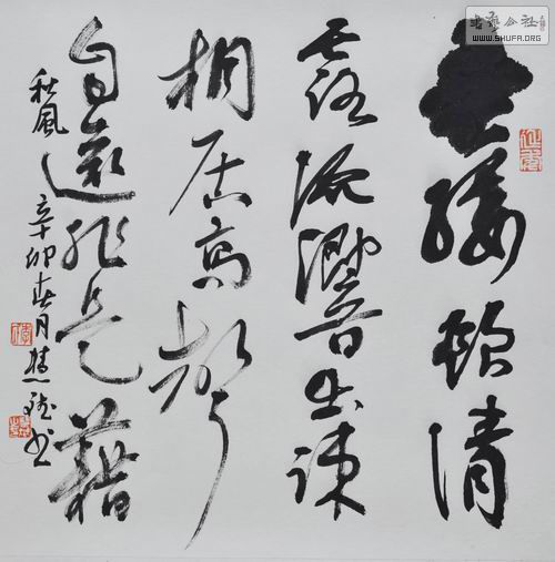 鷨 ۱ (1).jpg