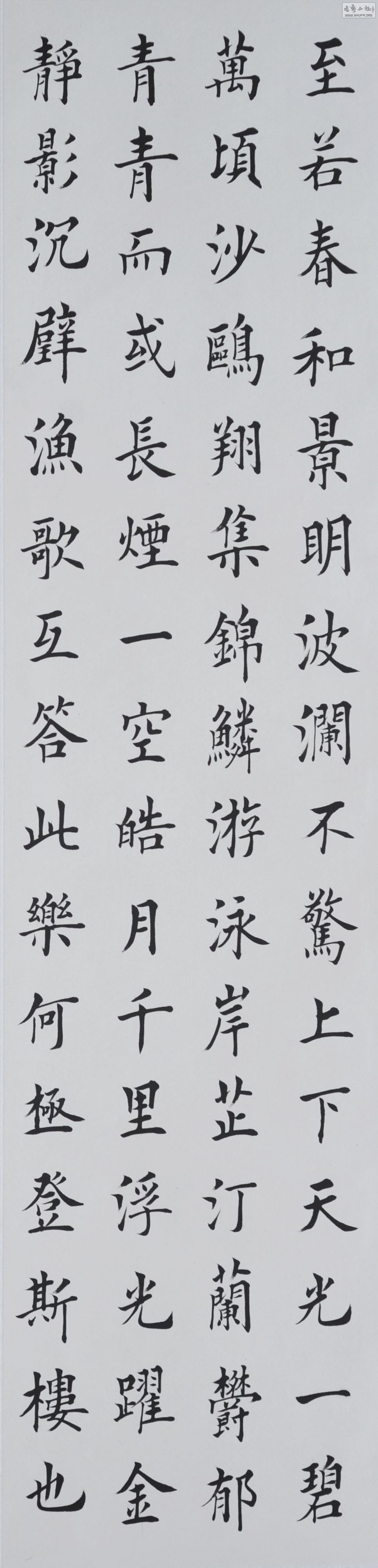 鷨  4.jpg