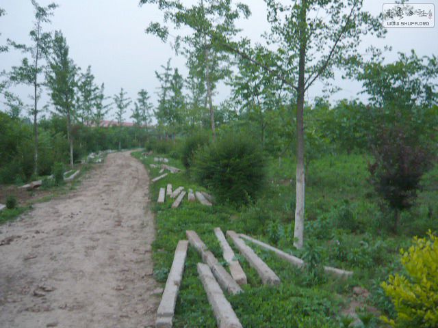 P1190612.jpg