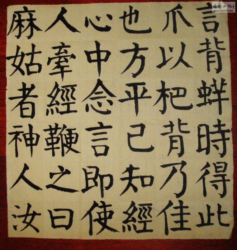 DSC05013.jpg