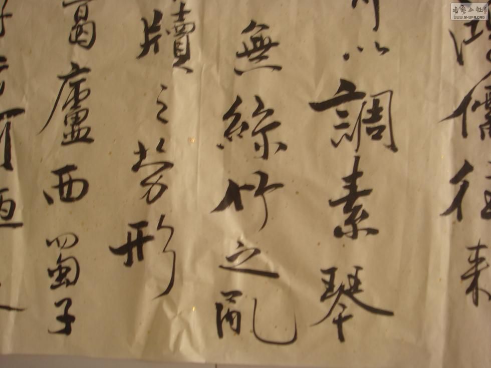 DSC00368.JPG
