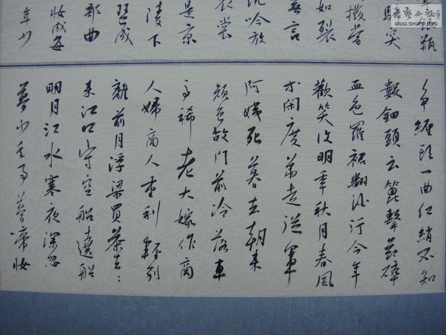 DSC08253.jpg