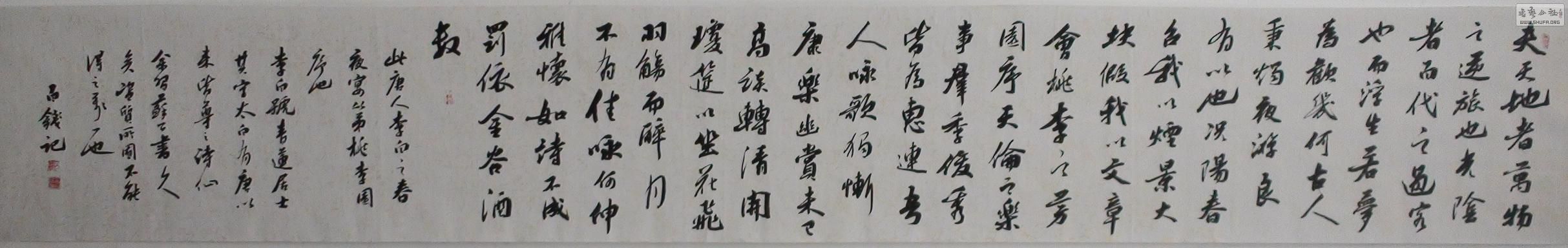 DSC07984_conew1.jpg