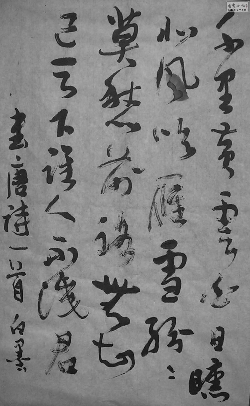 DSCN4692.JPG
