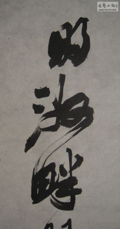 DSCN2721.JPG