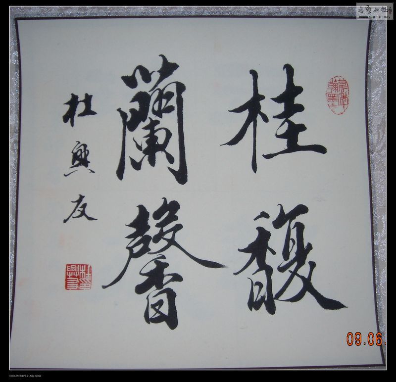 DSCN8854.JPG
