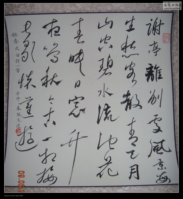 DSCN8848.JPG