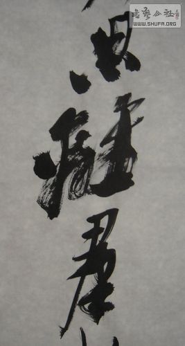 DSCN2735.JPG
