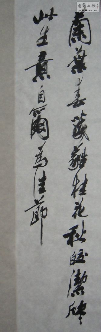 DSCN2738.JPG