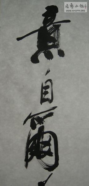 DSCN2742.JPG