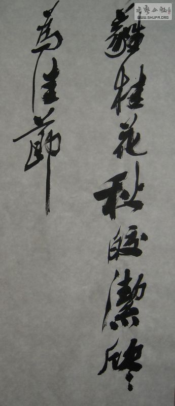 DSCN2740.JPG