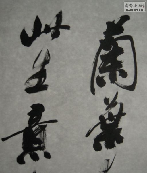 DSCN2741.JPG