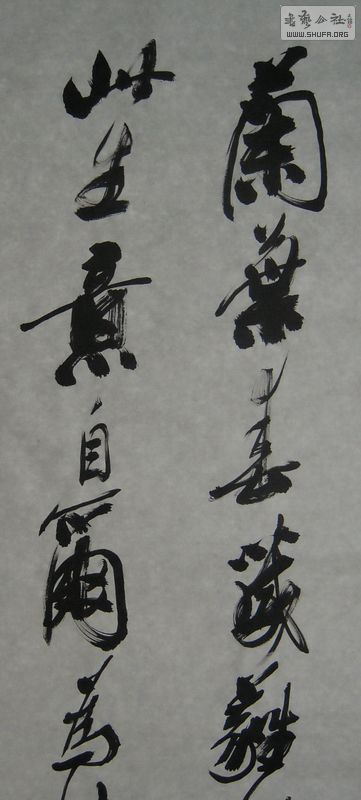 DSCN2739.JPG